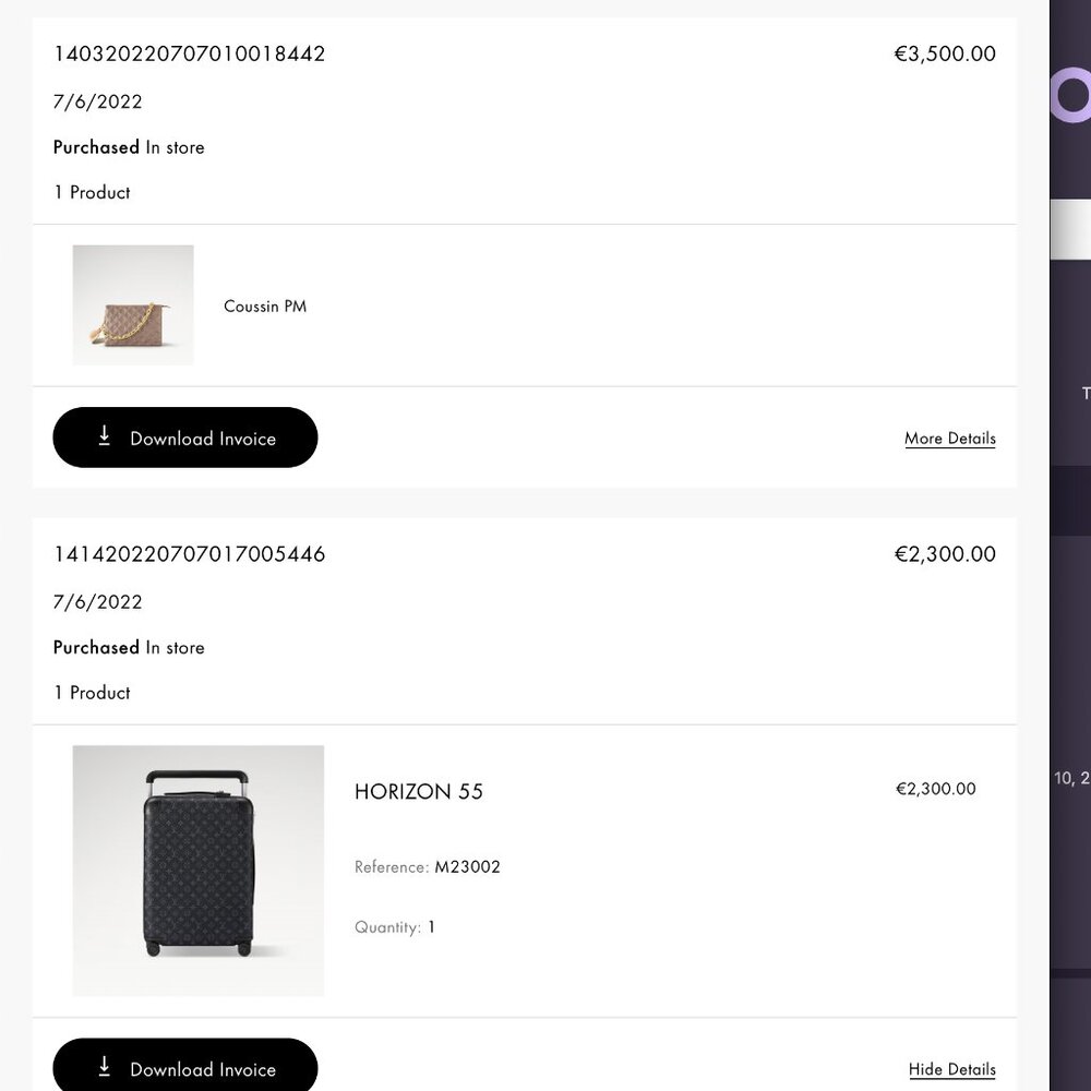 Louis Vuitton Suitcase CARRY ON - Picture 9 of 9